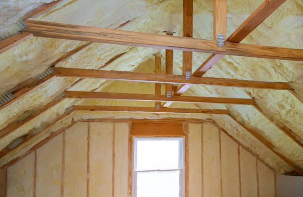 Best Types of Insulation in New Port Richey East, FL