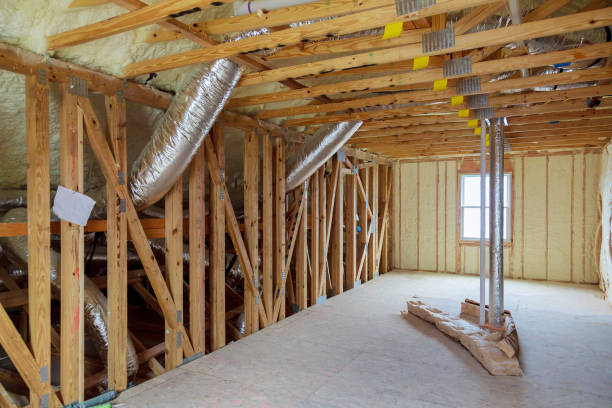 Best Insulation Installation Services in New Port Richey East, FL