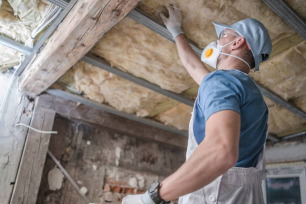 Best Specialty Insulation in New Port Richey East, FL